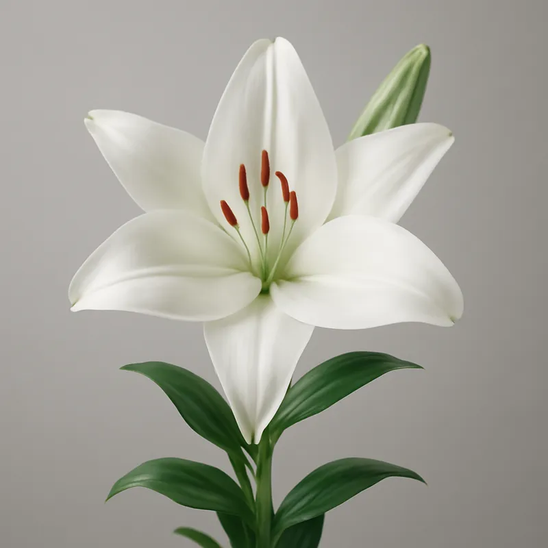 Flores de condolências