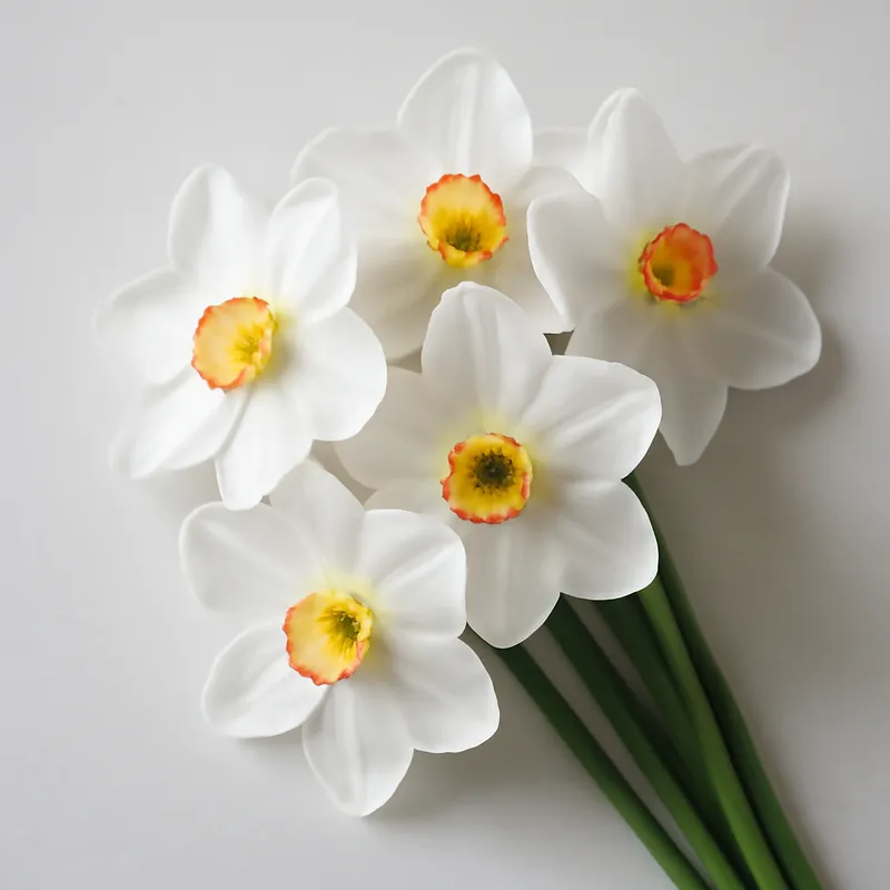 Narciso branco - imagem 3