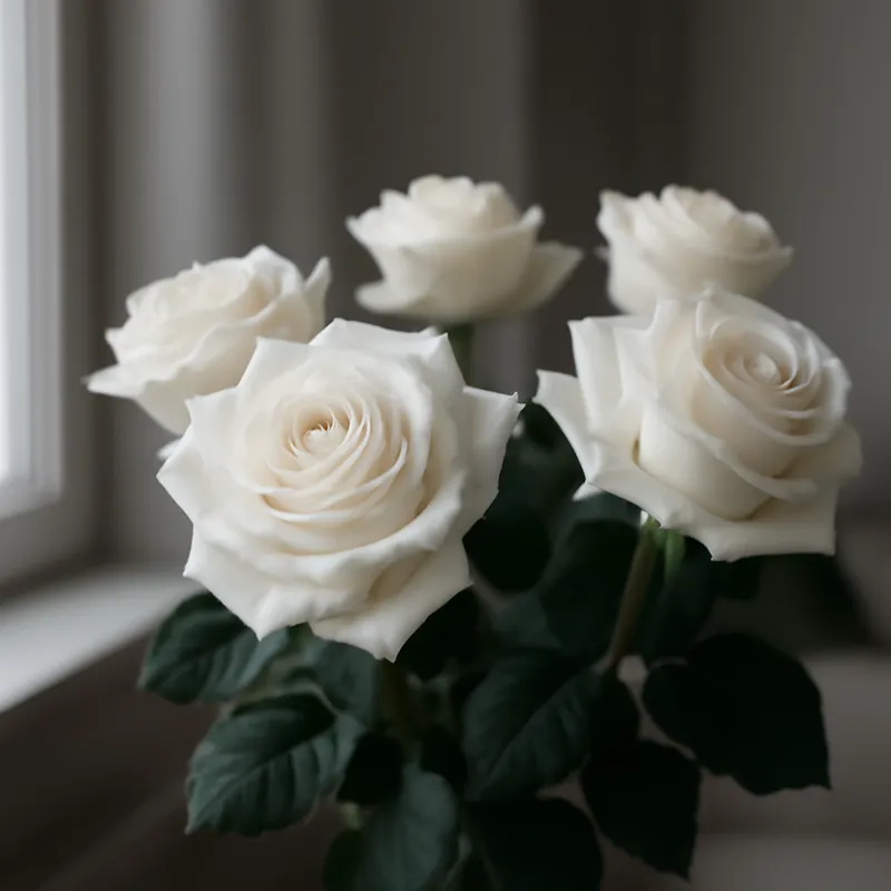 Rosa branca - imagem 3