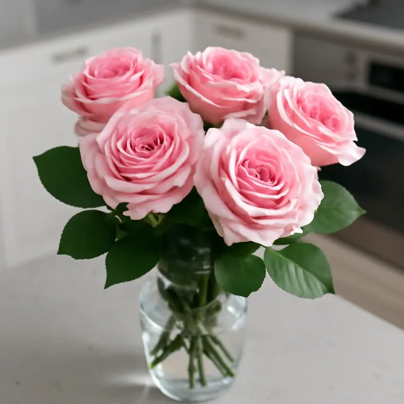 Rosa Clássica - imagem 3
