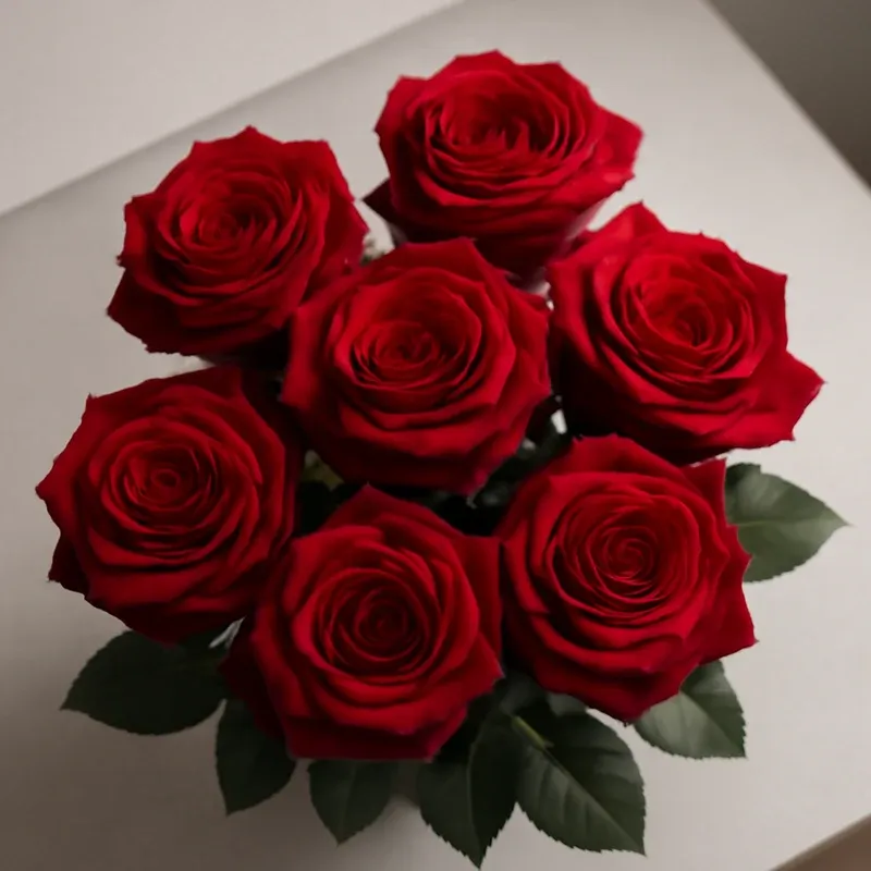 Rosa vermelha - imagem 3