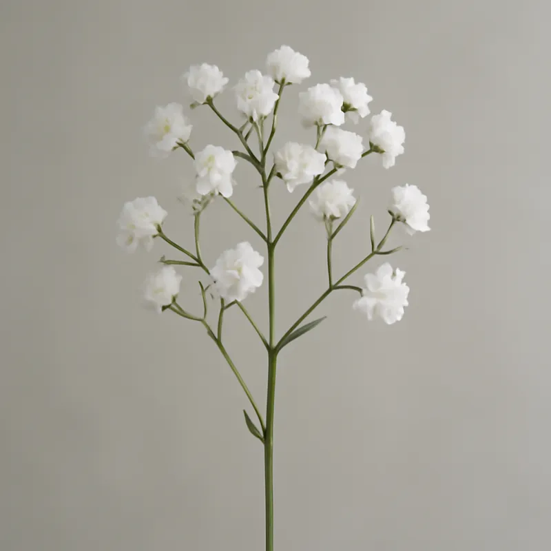 Véu de noiva branco